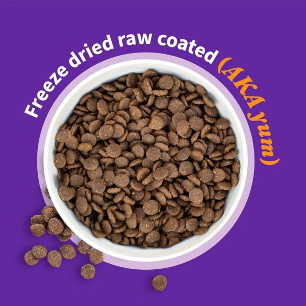 HALO Elevate Dog Food Lamb Recipe, Healthy Grains Dry Dog Fo... - Image 6
