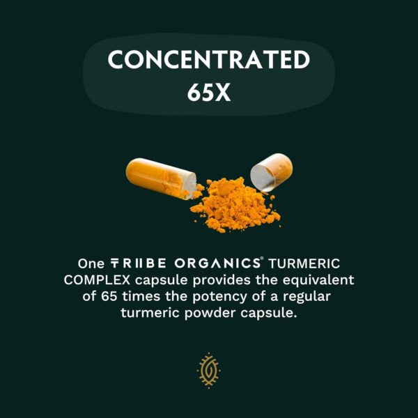 Turmeric Curcumin C3 Complex with BioPerine 1050mg - Natural... - Image 8
