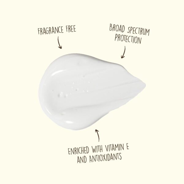 Sun Bum Original SPF 50 Sunscreen Face Lotion | Broad Spectr... - Image 4