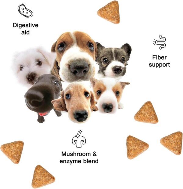 Wild Earth Dog Supplements, Soft Chews for Digestion & Immun... - Image 8