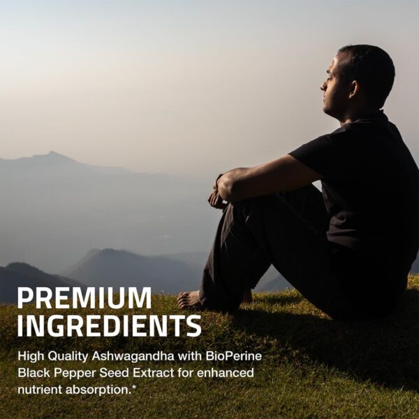 Bronson Ashwagandha Extra Strength Stress & Mood Support wit... - Image 5