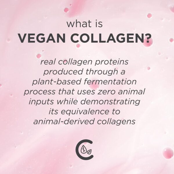 Pacifica Beauty Vegan Collagen Overnight Recovery Face Cream... - Image 5