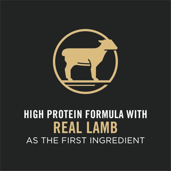 Purina Pro Plan High Protein, Small Bites Dog Food, SPORT 27... - Image 4