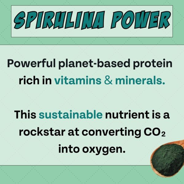 Chippin Plant-Based Spirulina Healthy Supplement & Dog Treat... - Image 9