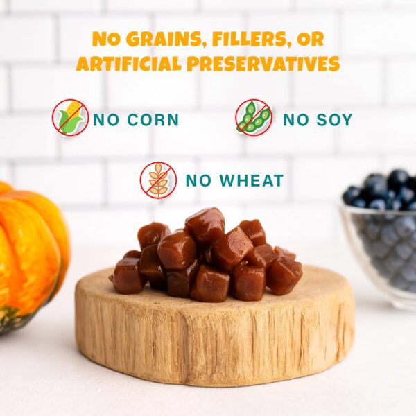 Plant-Based Pumpkin Dog Treats - Pumpkin, Carrot, Apple, and... - Image 4