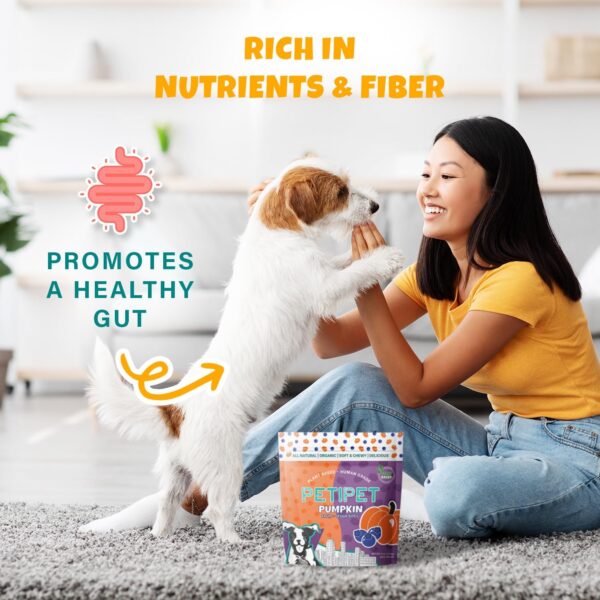 Plant-Based Pumpkin Dog Treats - Pumpkin, Carrot, Apple, and... - Image 6