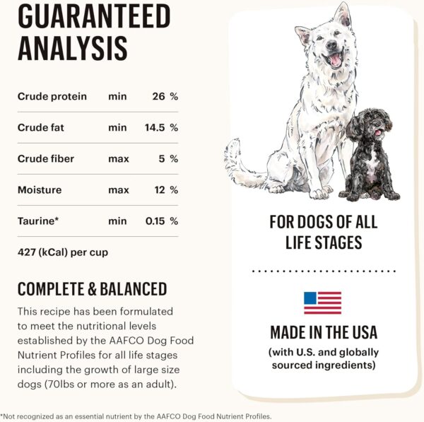 The Honest Kitchen Whole Food Clusters Grain Free Beef Dry D... - Image 6