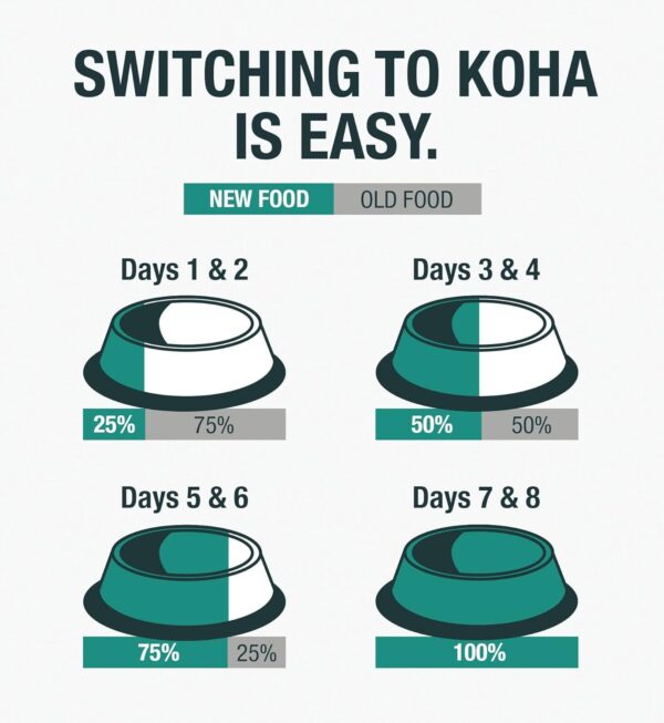 KOHA Limited Ingredient Diet Lamb Entrée for Dogs - Grain Fr... - Image 7
