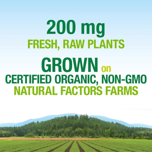 Whole Earth & Sea from Natural Factors, Women's Prenatal Mul... - Image 6