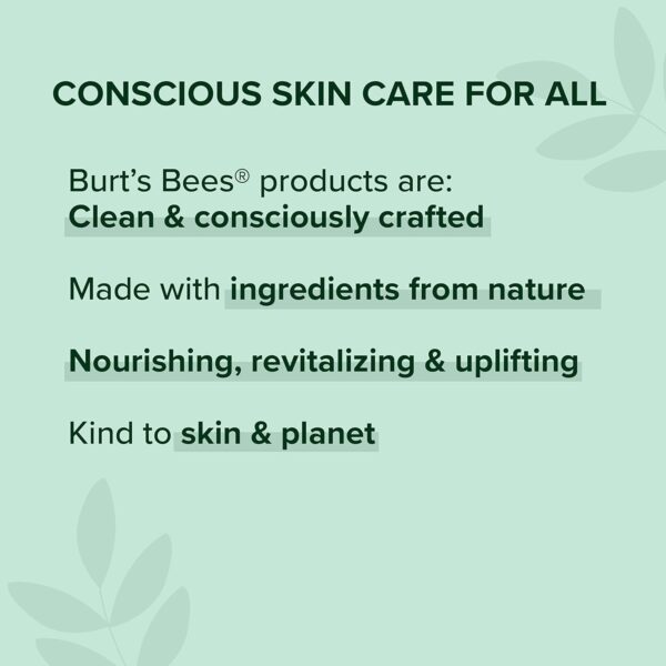 Burt’s Bees 100% Natural Moisturizing Lipstick, Russet River... - Image 9