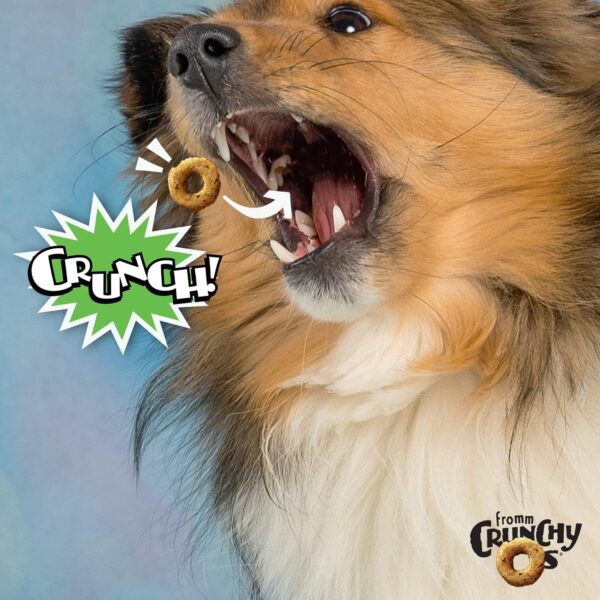 Fromm Crunchy Os Pumpkin Kran Pow Dog Treats - Premium Crunc... - Image 3