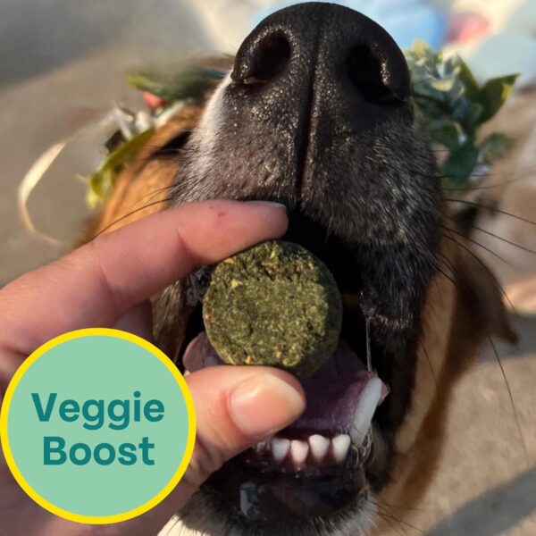 Chippin Plant-Based Spirulina Healthy Supplement & Dog Treat... - Image 3