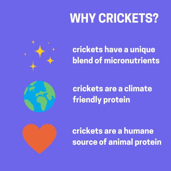Dog Food Topper, Cricket Protein, Vegan & Vegetarian Dog Foo... - Image 4