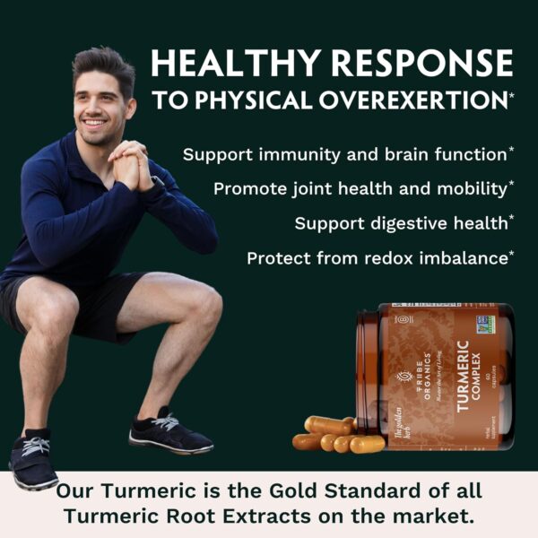 Turmeric Curcumin C3 Complex with BioPerine 1050mg - Natural... - Image 6