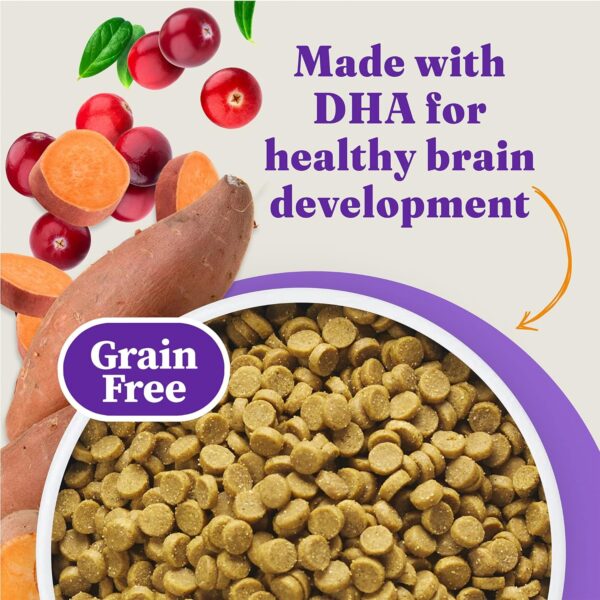 Halo Holistic Kitten Food Dry , Grain Free Wild - caught Sal... - Image 5