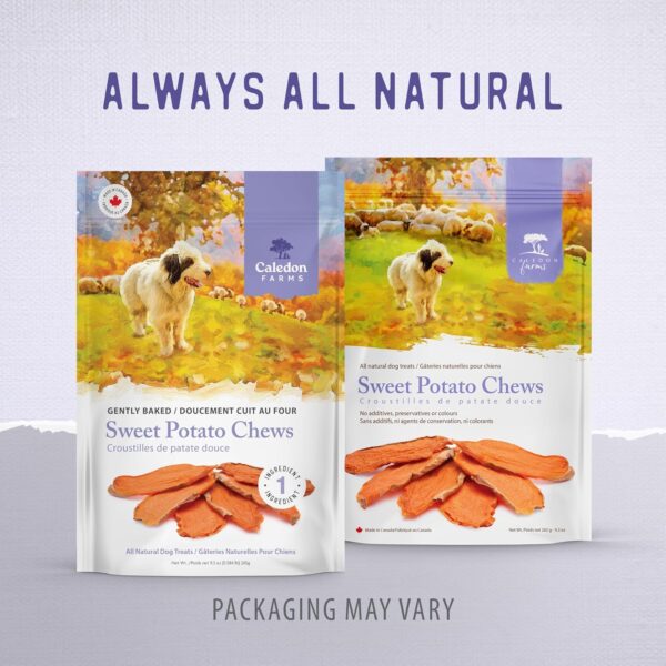 Caledon Farms Sweet Potato Chews for Dogs 9.3 OZ - Image 13