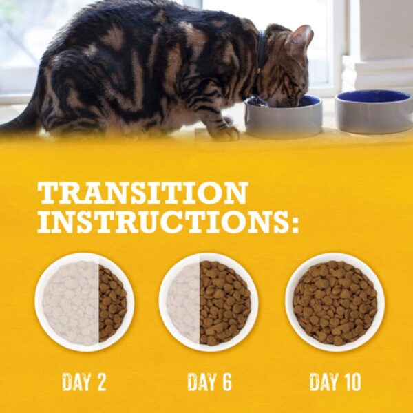 Purina Beyond Natural Dry Cat Food Wholesome Ingredients for... - Image 13