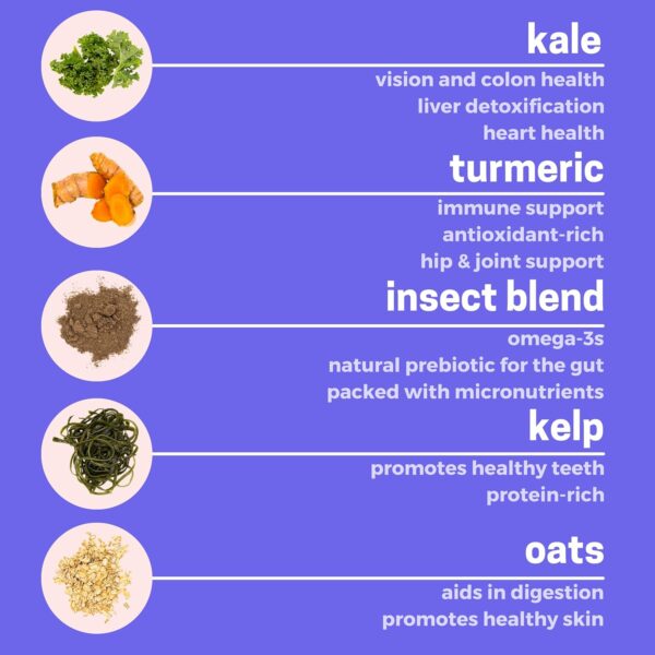 Dog Food Topper, Cricket Protein, Vegan & Vegetarian Dog Foo... - Image 5