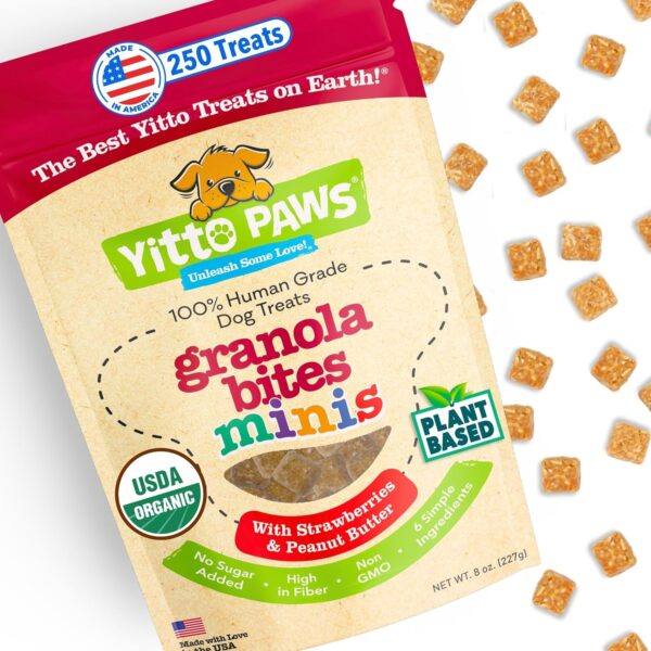 Crunchy Mini Organic Dog Training Treats - Oats, Strawberrie... - Image 2