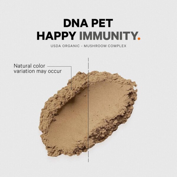 Happy Immunity USDA Certified Organic Mushroom Complex for D... - Image 6