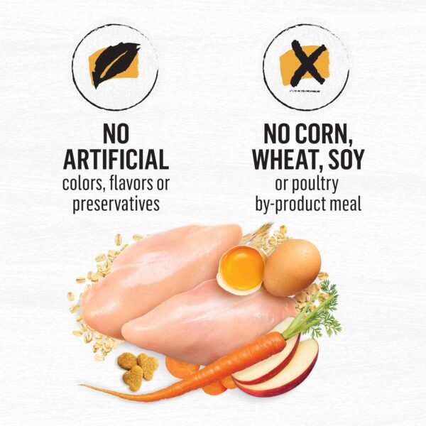 Purina Beyond Natural Dry Cat Food Wholesome Ingredients for... - Image 10