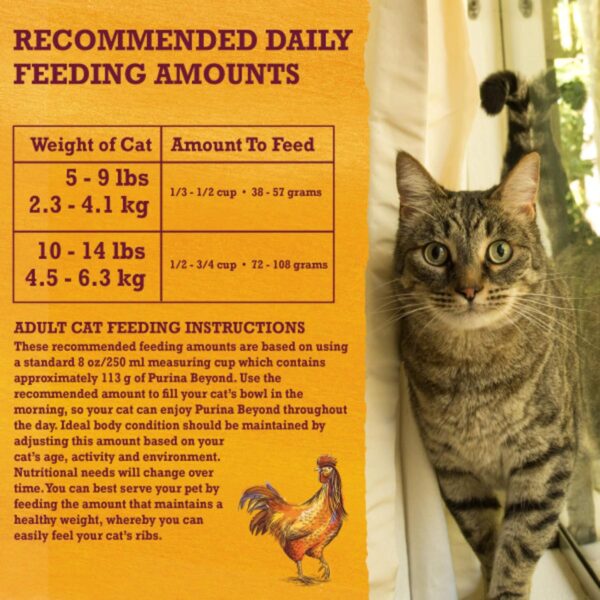 Purina Beyond Grain Free White Meat Chicken and Egg Recipe N... - Image 12