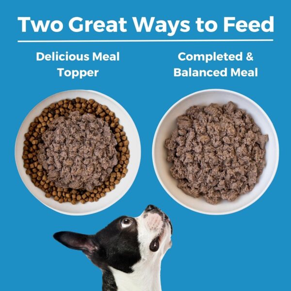 KOHA Limited Ingredient Diet Lamb Entrée for Dogs - Grain Fr... - Image 6
