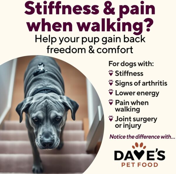 Dave's Pet Food Glucosamine Chondroitin for Dogs, Hip and Jo... - Image 5