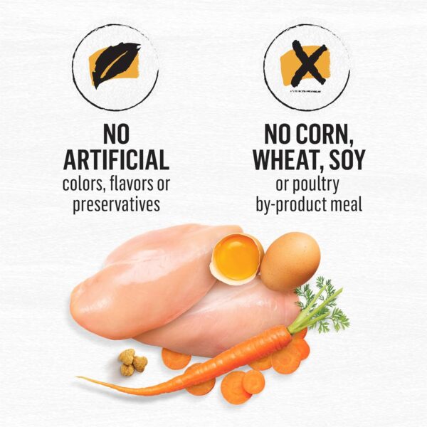 Purina Beyond Grain Free White Meat Chicken and Egg Recipe N... - Image 10