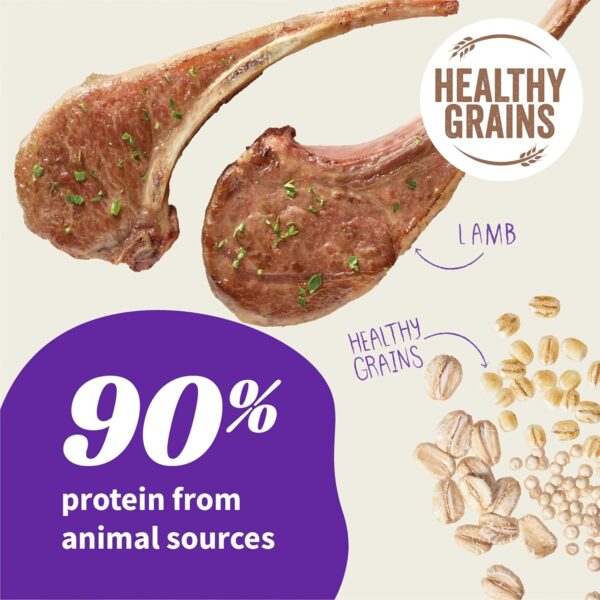 HALO Elevate Dog Food Lamb Recipe, Healthy Grains Dry Dog Fo... - Image 4