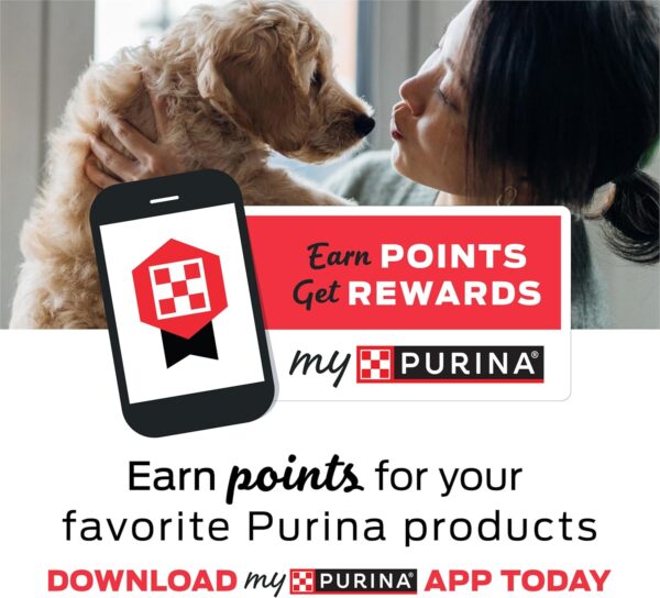 Purina Beyond Grain Free White Meat Chicken and Egg Recipe N... - Image 4