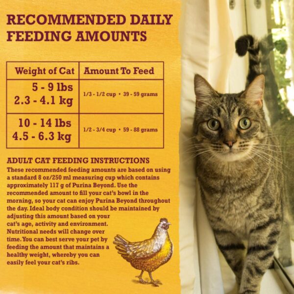 Purina Beyond Natural Dry Cat Food Wholesome Ingredients for... - Image 12