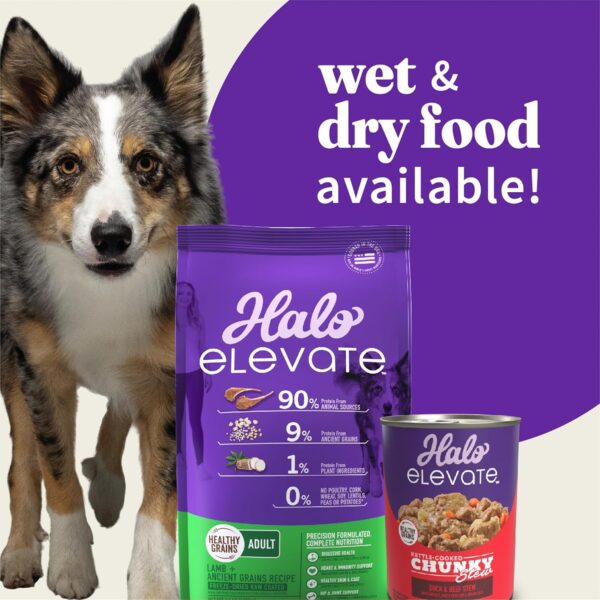 HALO Elevate Dog Food Lamb Recipe, Healthy Grains Dry Dog Fo... - Image 8