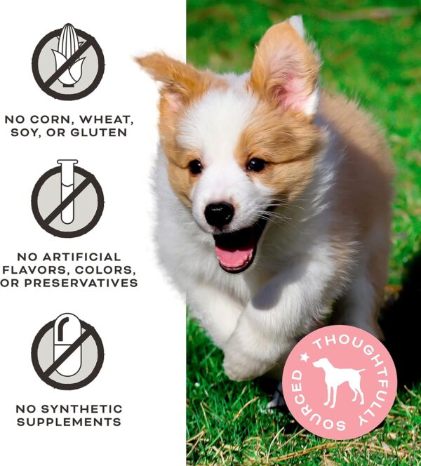 Primal Chicken Jerky Dog Treats Made with Chicken Bone Broth... - Image 5