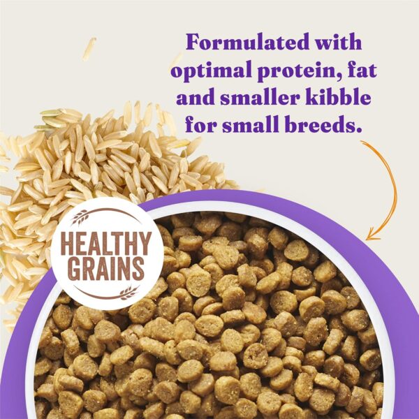 Halo Holistic Dog Food, Complete Digestive Health Cage-Free ... - Image 8