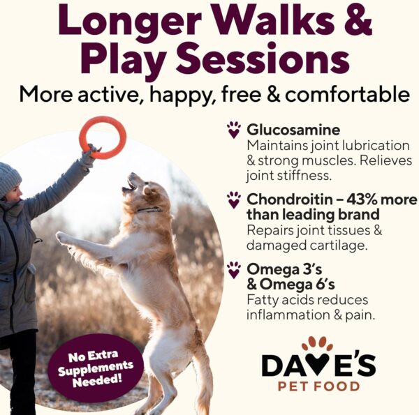 Dave's Pet Food Glucosamine Chondroitin for Dogs, Hip and Jo... - Image 6