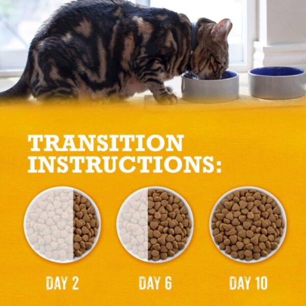 Purina Beyond Grain Free White Meat Chicken and Egg Recipe N... - Image 13