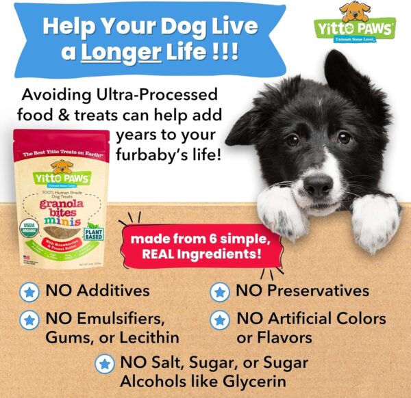 Crunchy Mini Organic Dog Training Treats - Oats, Strawberrie... - Image 6