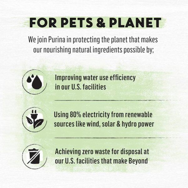 Purina Beyond Grain Free White Meat Chicken and Egg Recipe N... - Image 9