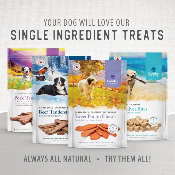 Caledon Farms Sweet Potato Chews for Dogs 9.3 OZ - Image 11