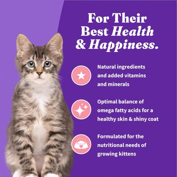 Halo Holistic Kitten Food Dry , Grain Free Wild - caught Sal... - Image 9