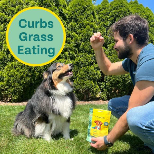 Chippin Plant-Based Spirulina Healthy Supplement & Dog Treat... - Image 5