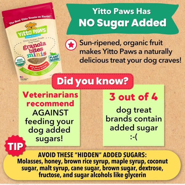Crunchy Mini Organic Dog Training Treats - Oats, Strawberrie... - Image 7