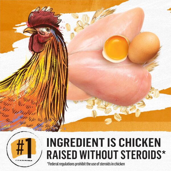 Purina Beyond Natural Dry Cat Food Wholesome Ingredients for... - Image 3