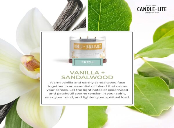 Essential Elements by Candle-lite Scented Candles, Vanilla &... - Image 6